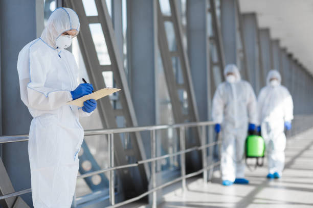 Best Real Estate Mold Inspection  in Elmore, AL