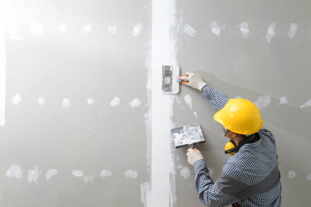 Best Asbestos and Lead Testing During Mold Inspection  in Elmore, AL