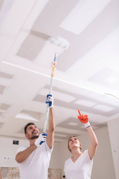 Best Emergency Mold Remediation  in Elmore, AL